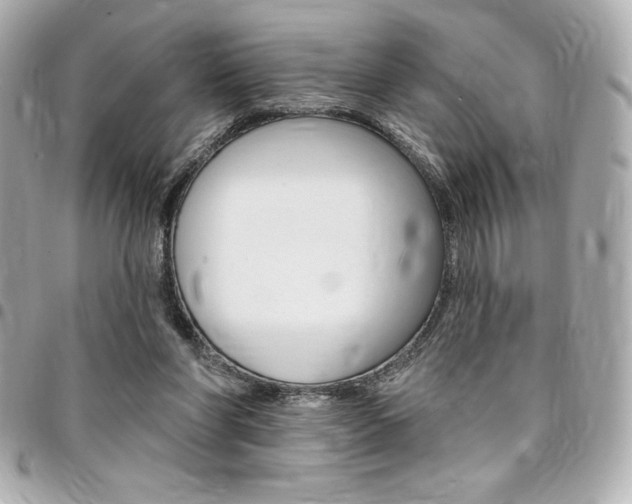 X0000095510206200712140942
