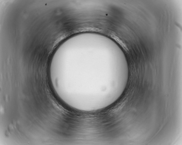 X0000095510207200712140942