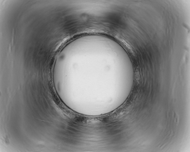 X0000095510208200712140942