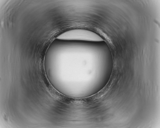 X0000095510209200712140942