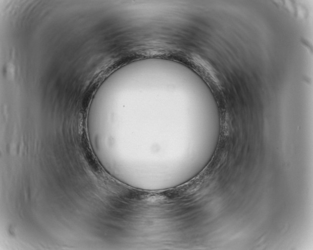 X0000095510210200712140942
