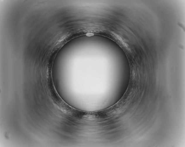 X0000095510211200712140942