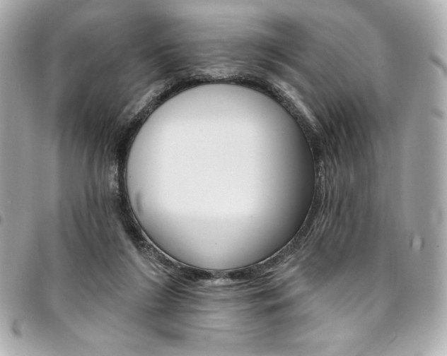 X0000095510212200712140942