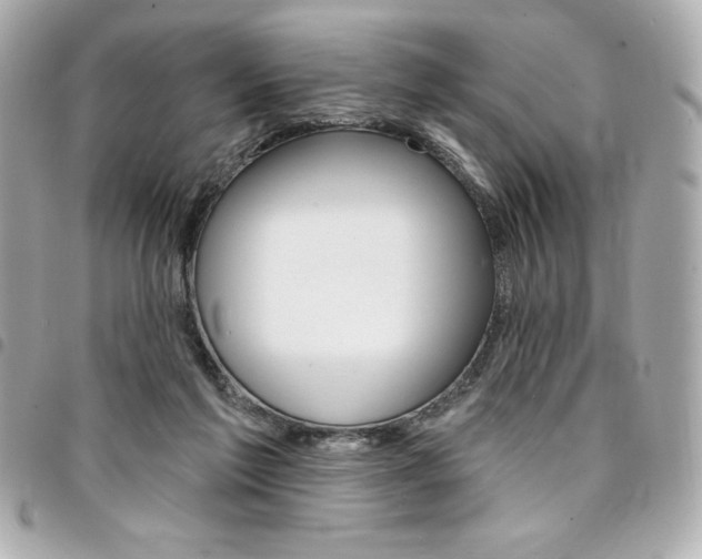 X0000095510213200712140942