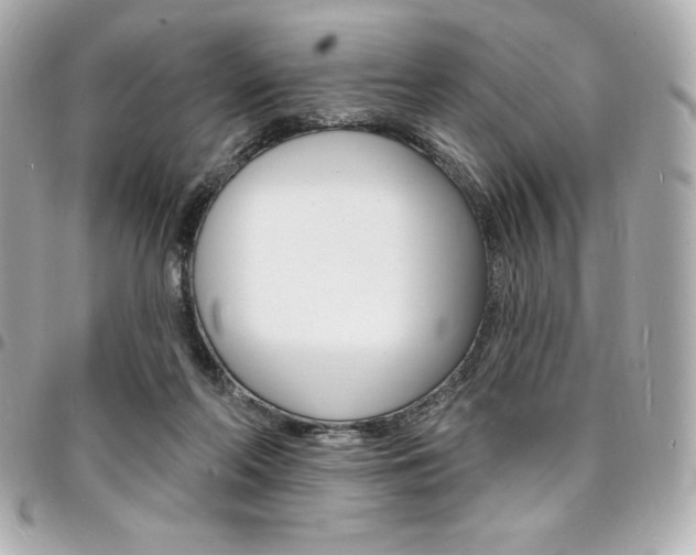 X0000095510214200712140942