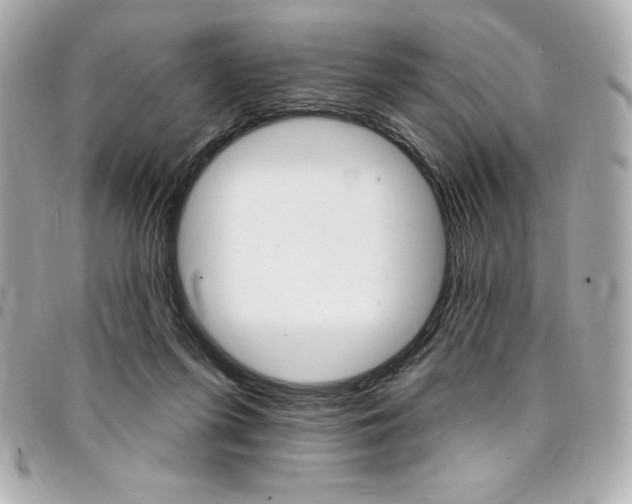 X0000095510215200712140942