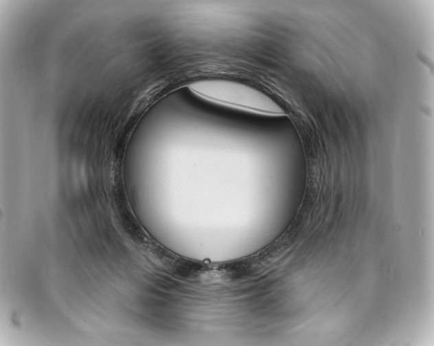 X0000095510216200712140942