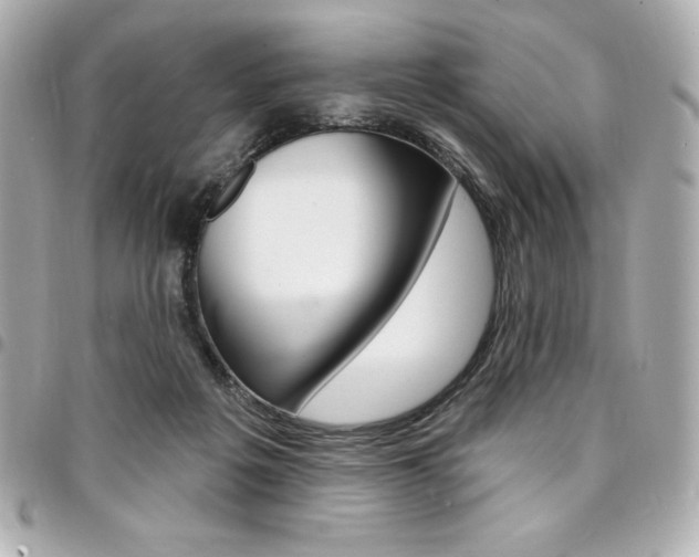 X0000095510217200712140942