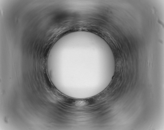 X0000095510218200712140942