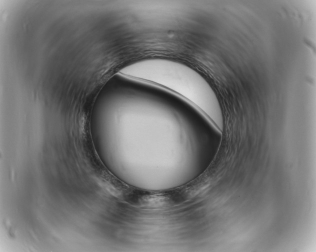 X0000095510219200712140942