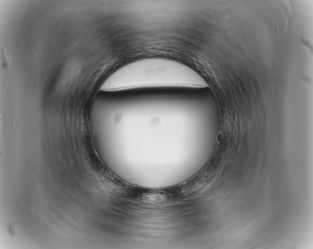 X0000095510220200712140942