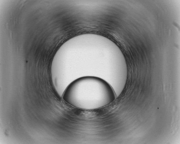 X0000095510221200712140942