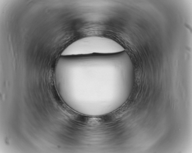 X0000095510222200712140942