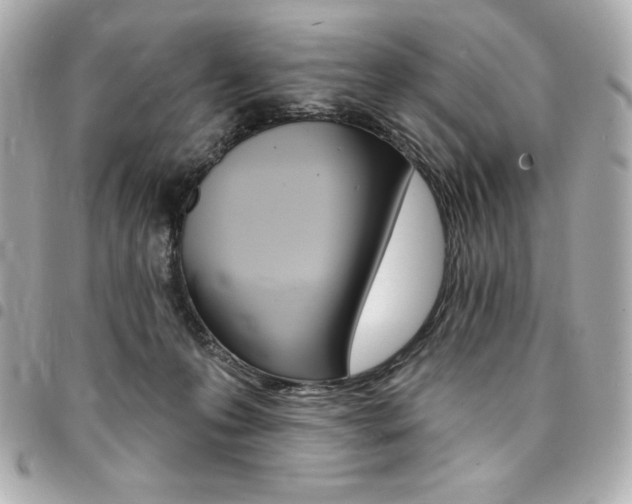 X0000095510223200712140942