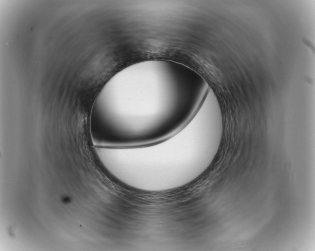 X0000095510225200712140942