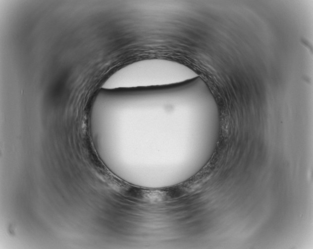 X0000095510226200712140941