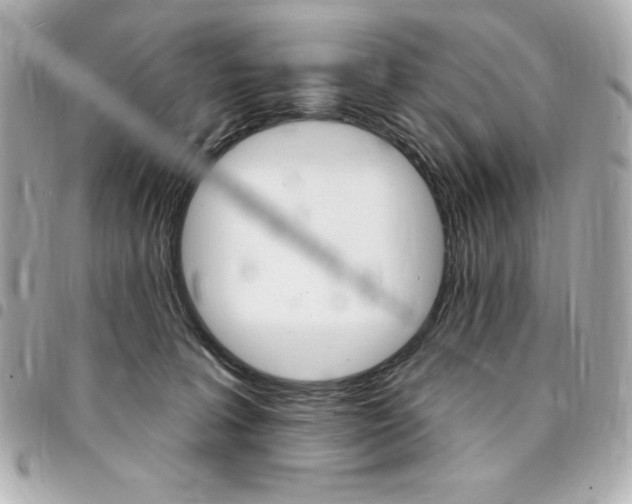 X0000095510227200712140941