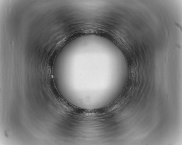 X0000095510228200712140941