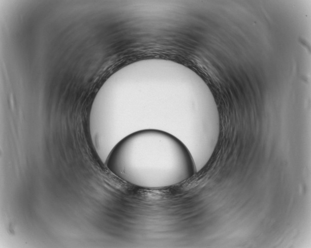 X0000095510229200712140941