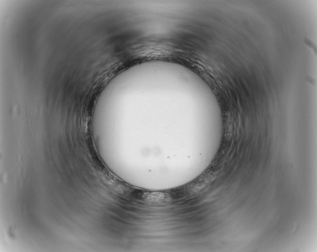 X0000095510230200712140941