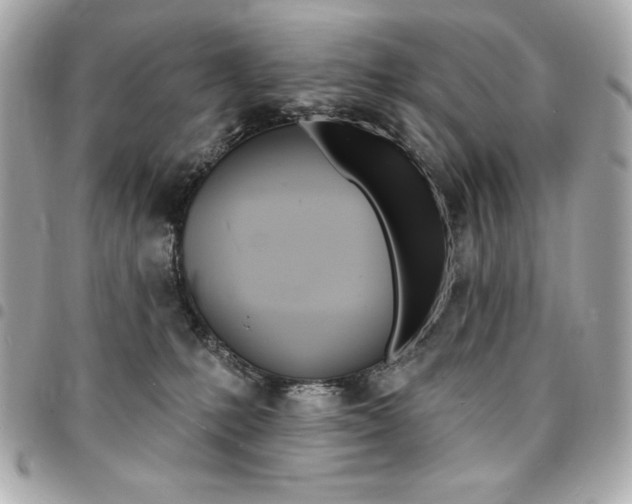 X0000095510231200712140941
