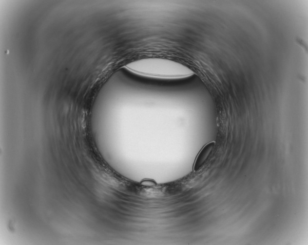X0000095510232200712140941