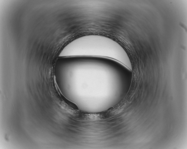 X0000095510233200712140941