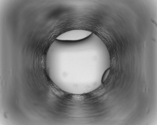 X0000095510234200712140941