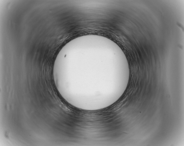 X0000095510235200712140941