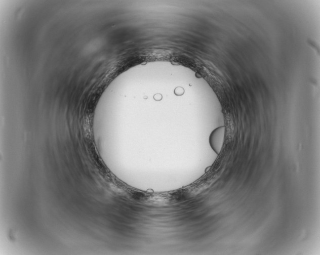 X0000095510236200712140941
