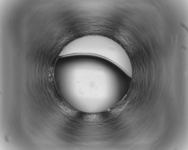 X0000095510237200712140941