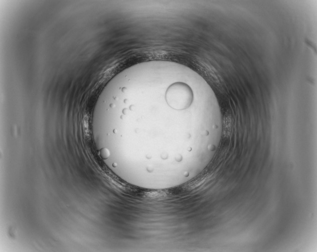 X0000095510238200712140941