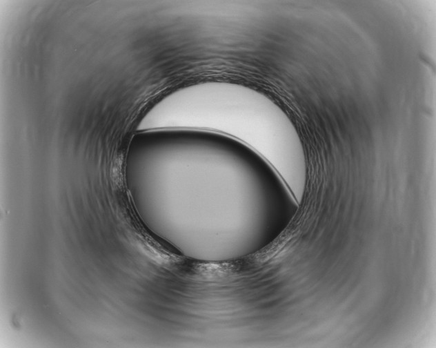 X0000095510239200712140941