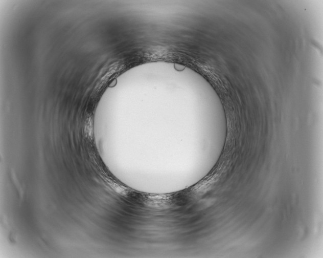 X0000095510240200712140941