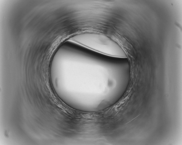 X0000095510241200712140941