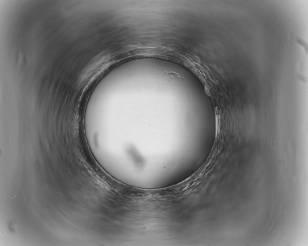 X0000095510243200712140941