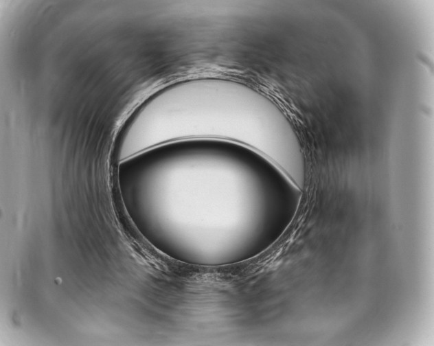X0000095510244200712140941
