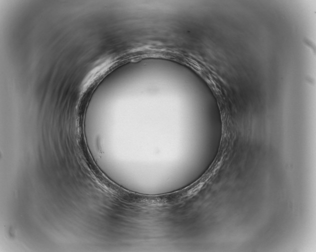 X0000095510245200712140941