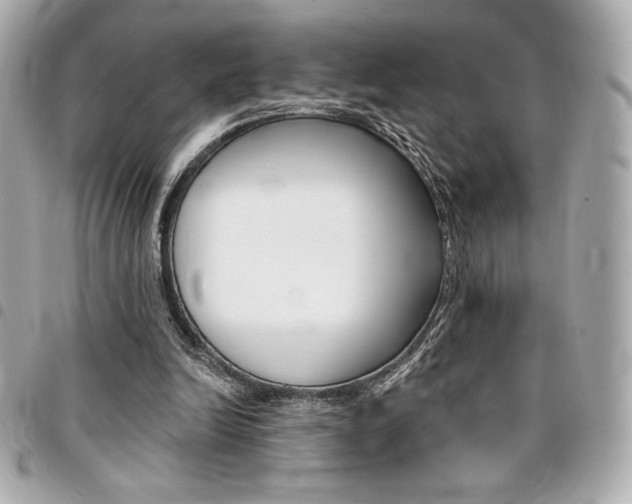 X0000095510246200712140941