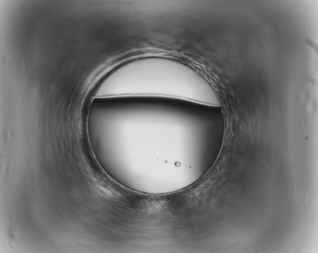 X0000095510247200712140941