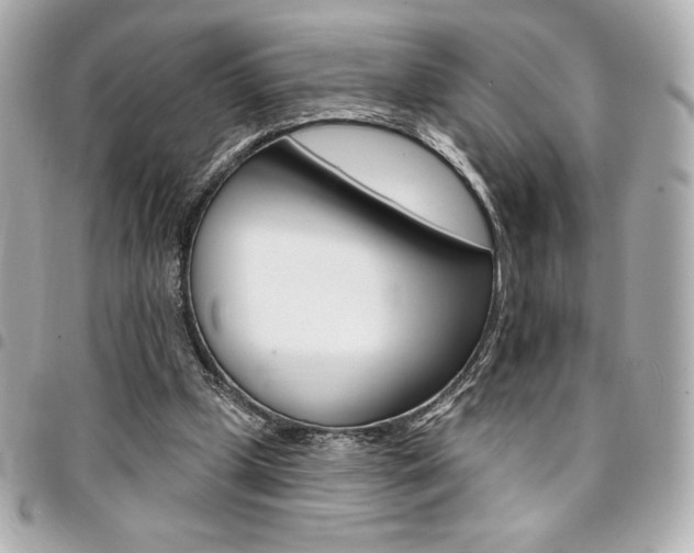 X0000095510249200712140941
