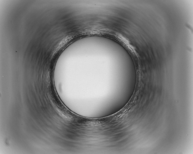 X0000095510250200712140941