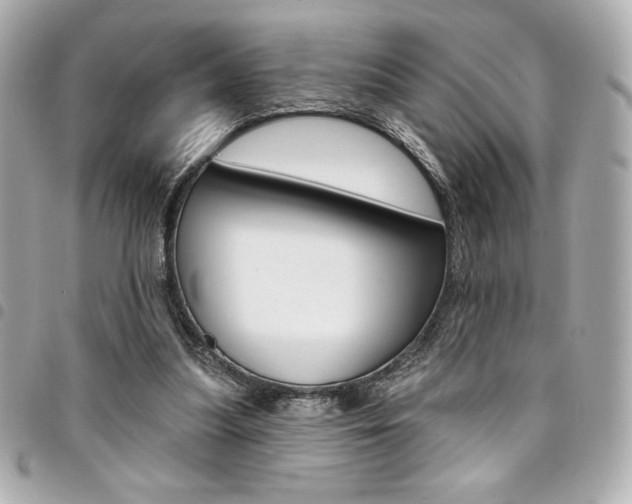 X0000095510251200712140941