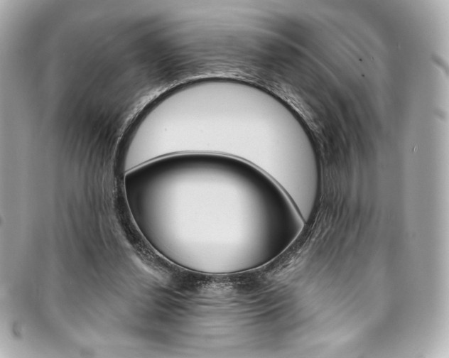X0000095510252200712140941