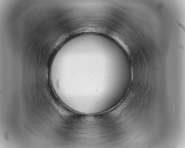 X0000095510253200712140941