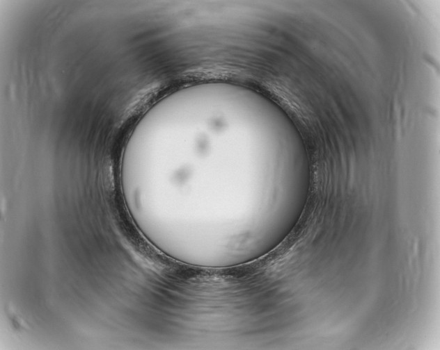 X0000095510254200712140941