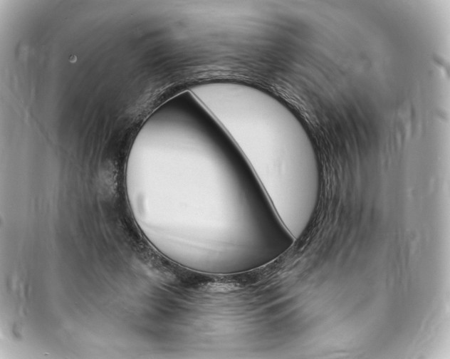 X0000095510255200712140941