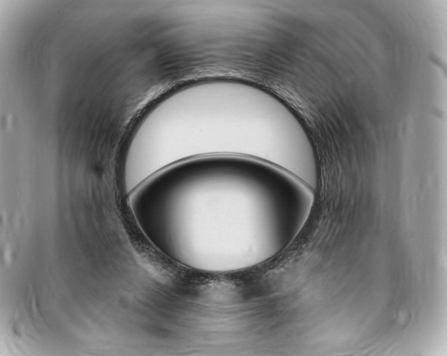 X0000095510256200712140941
