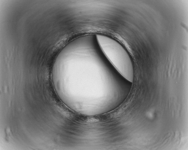 X0000095510257200712140941