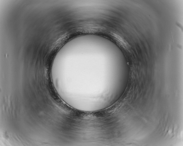 X0000095510258200712140941